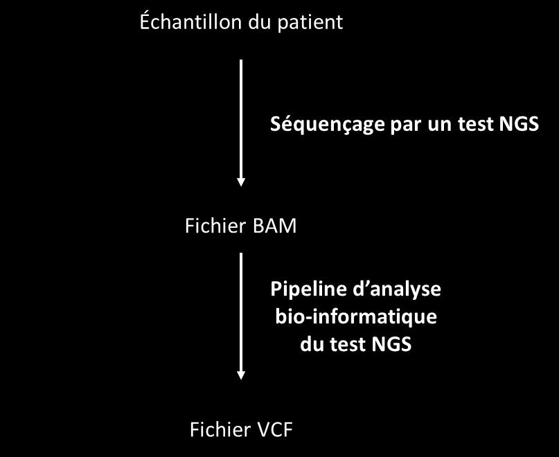 Figure 55 : Schéma représentant le moment d obtention du fichier BAM et du fichier VCF lors d un test NGS Les CHU de Marseille et de Strasbourg nous ont transmis leurs données de séquençage