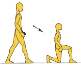 Utilité de l exercice L accroupissement permet de se mettre à niveau par rapport à certaines tâches : à mi-hauteur, par exemple debout devant un plan de travail, une table, un lavabo au sol, par