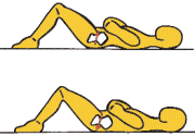 Utilité de l exercice La bascule du bassin permet de repérer des positions de confort.