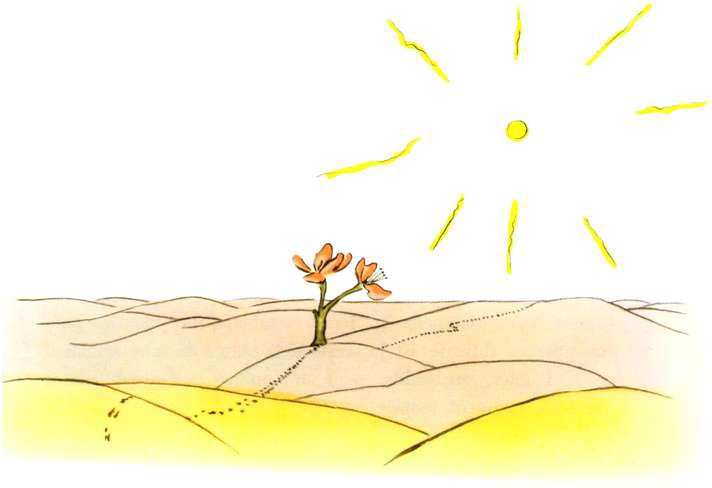 CHAPITRE XVIII Le petit prince traversa le désert et ne rencontra qu une fleur.