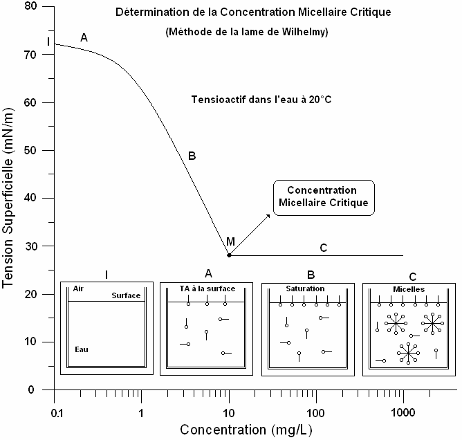 Chapitre I Etude bibliographique L isotherme de Gibbs d un tensioactif comprend plusieurs zones bien distinctes, numérotées A, B, C comme sur la Figure I-2.