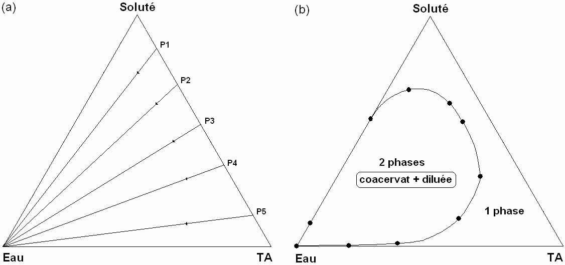 Chapitre II Corrélations, propriétés thermodynamiques et physico-chimiques dans la série des AE II.