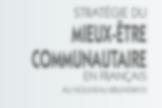 STRATÉGIE DU MIEUX-ÊTRE COMMUNAUTAIRE EN FRANÇAIS AU NOUVEAU-BRUNSWICK Une initiative de collaboration entre le Réseau -