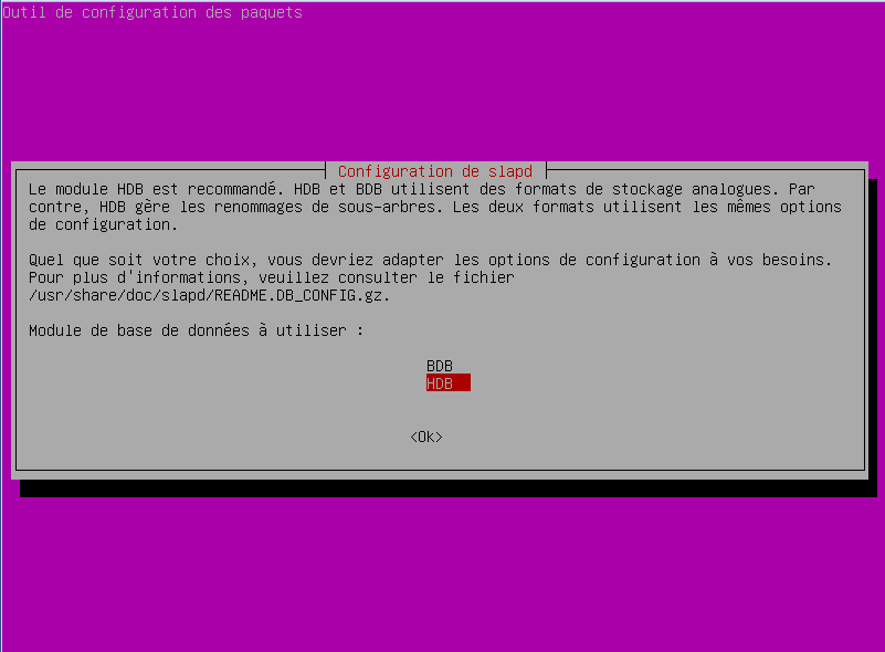 Annexe 5 : Création de l annuaire LDAP Test Pour pouvoir être le plus possible dans le contexte final j ai mis en place un annuaire LDAP Test. J ai installé mon annuaire sous Ubuntu Server 10.04.