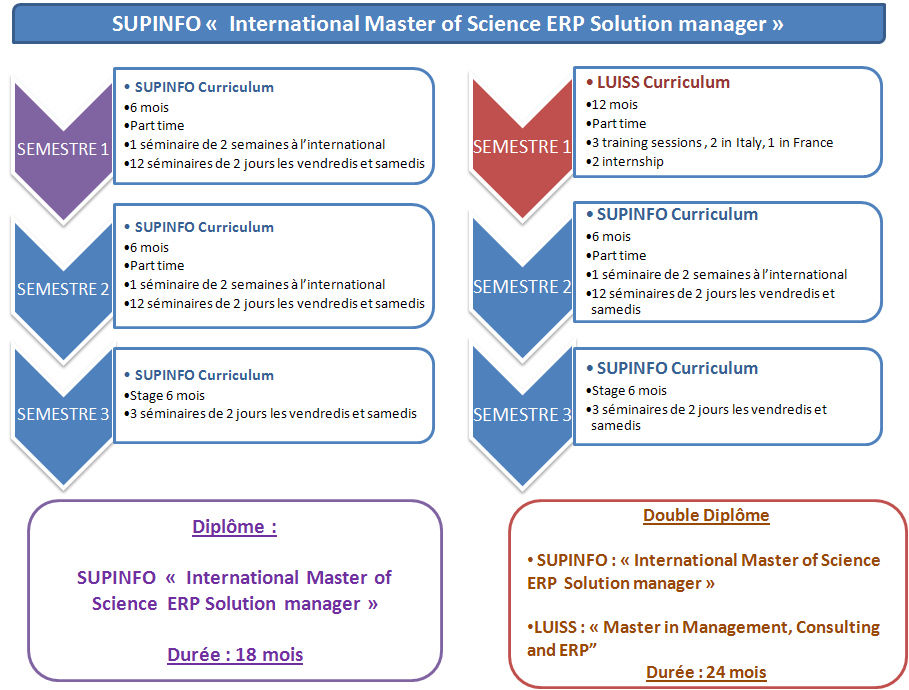 Programme International Master of Science ERP Solution Manager 4 / 13