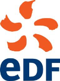 ERP et stratégie Débat MyDSI-TV, Accenture (8 janvier 2009) Pour débattre, autour de Luc Fayard, de l