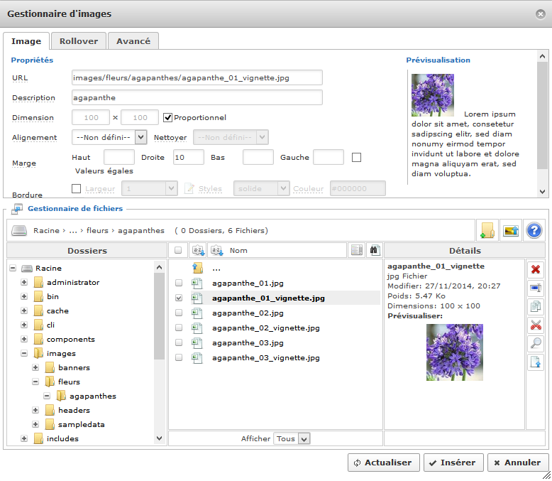 9.3.5 Les balises <h1>, <h2>, <p>, <img> 9.3.5.1 En utilisant la barre d outils de l éditeur JCE L objectif est à présent d insérer des images dans certains articles.