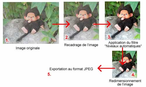 Exemple de traitement d une photographie scannée de grande dimension pour l adapter au Web Travailler avec un logiciel de traitement d images La plupart des logiciels de traitement d image sont trés