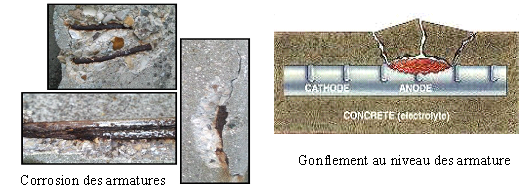 4 1. Introduction générale Figure 1.4: Dégradation due à la corrosion des armatures. solution interstitielle est élevé.