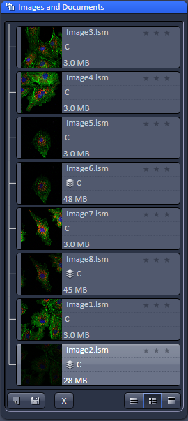 Enregistrement des images Les images acquises s affichent en miniatures dans la fenêtre 3 du logiciel (voir Copie d'écran 4 : Logiciel LSM Zen (1) p.3 Fenêtre 3).
