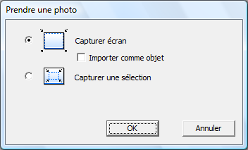 En cliquant sur l appareil photo, deux options vous sont proposées : - capturer tout l'espace de travail en tant qu'image unique.