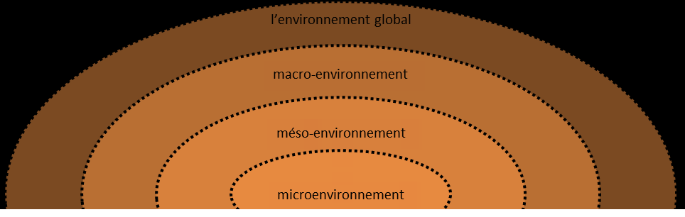 Chapitre II : Apprentissage de connaissances et activités associées Figure 14 : Les différents types d'environnements Pour les relations sociales faites dans les micro- et meso- environnements,