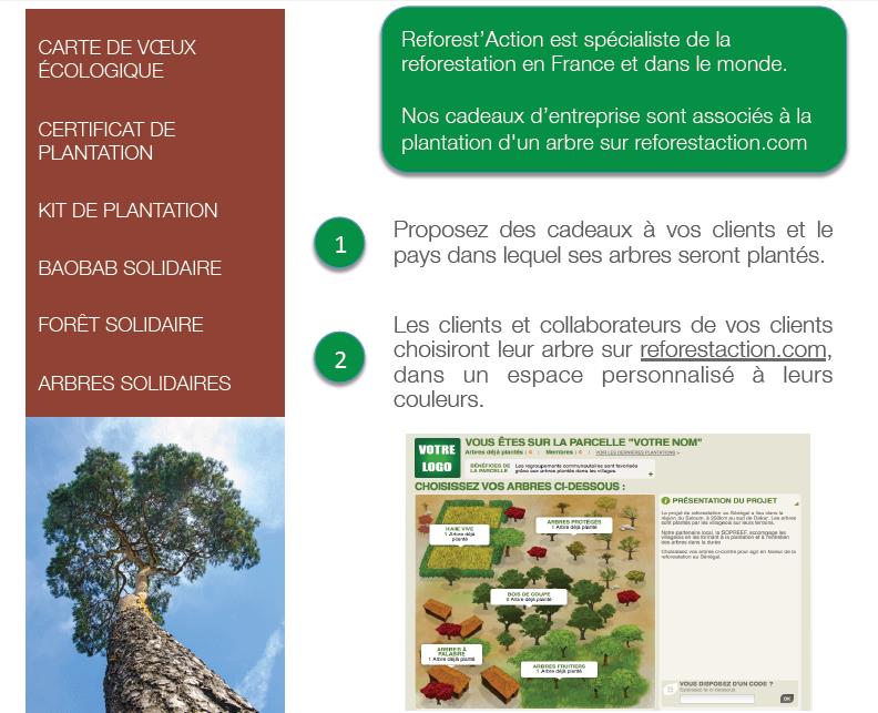 CONCEPT reforest action /