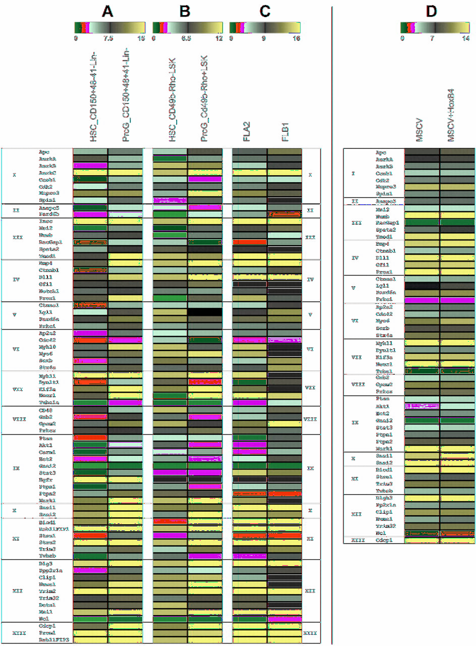 126 Figure 4.1 Gene expression profiles of HSC polarity fate determinants.