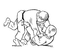 Programme de la ceinture verte : Vocabulaire : Sutemi : technique de sacrifice Tomoe : cercle Te : main Shime waza : technique d étranglement Kansetsu