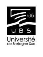L UBS dans l écosystème régional Pôle d Excellence Cyber Volet Formation Volet Recherche Projet ANSSI CyberEDU (UEB) Labex