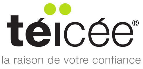 TEICEE Aurélien Bonanni Réseau & Télécoms Hébergement sécurisé Expertise Linux Infogérance Sauvegarde Sécurité Contrôle des accès Web (tic'ncube ) Supervision - Développements spécifiques.