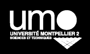 Université de Montpellier Rapport de Master Mention : «STPI ELECTRONIQUE - ELECTROTECHNIQUE - AUTOMATIQUE» Spécialité : «Robotique et