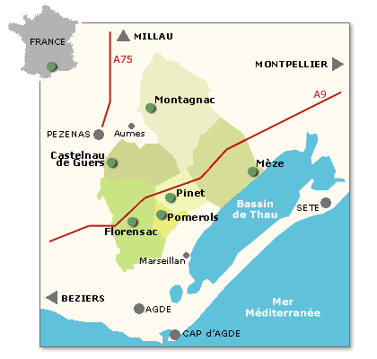 La zone viticole visitée Terroir viticole situé dans le triangle Agde, Pézenas, Sète sur le plateau calcaire qui s'étend en terrasses et descend en pente douce vers l'étang de Thau.
