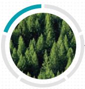BILAN FORESTIER Classification des surfaces forestières certifiées : Parmi les 5975 hectares certifiés, la décomposition est la suivante : Surfaces forestières de production : 5533 ha Surfaces