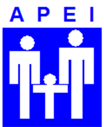 APEI-VO Projet : proposer une formation au Permis AM à des jeunes en situation de handicap pour favoriser leur intégration professionnelle.