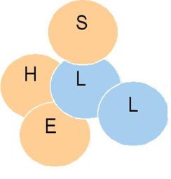 3-Le modèle SHELL En 1992, l OACI a adopté une classification des erreurs humaines basée sur le modèle conceptuel de facteur humain SHELL comme mentionné dans la figure 3.