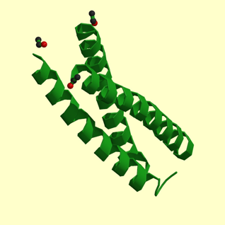 Exemple de motif protéique Basic-leucine zipper (bzip) Site trouvé dans des facteurs de transcription eucaryotes Fonction : Fixation à l ADN