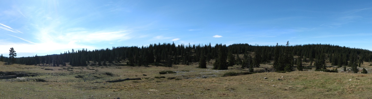 Milieu «alpin» caractéristiques du paysage végétal Occupation du sol : principalement naturelle (65 %) Organisation spatiale : étagement de la végétation gestion de paysages