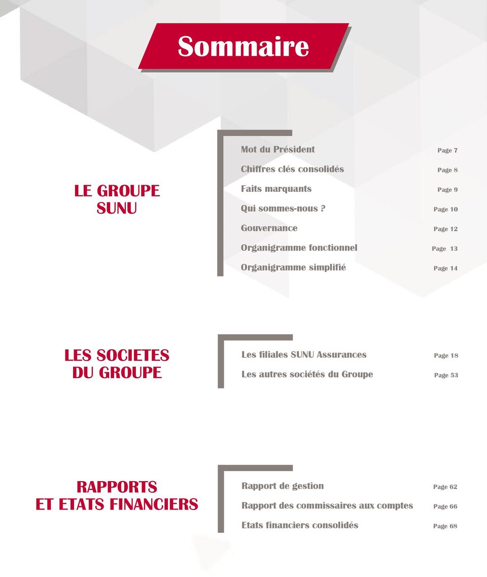 Page 10 Gouvernance Page 12 Organigramme fonctionnel Page 13 Organigramme simplifié Page 14 LES SOCIETES DU