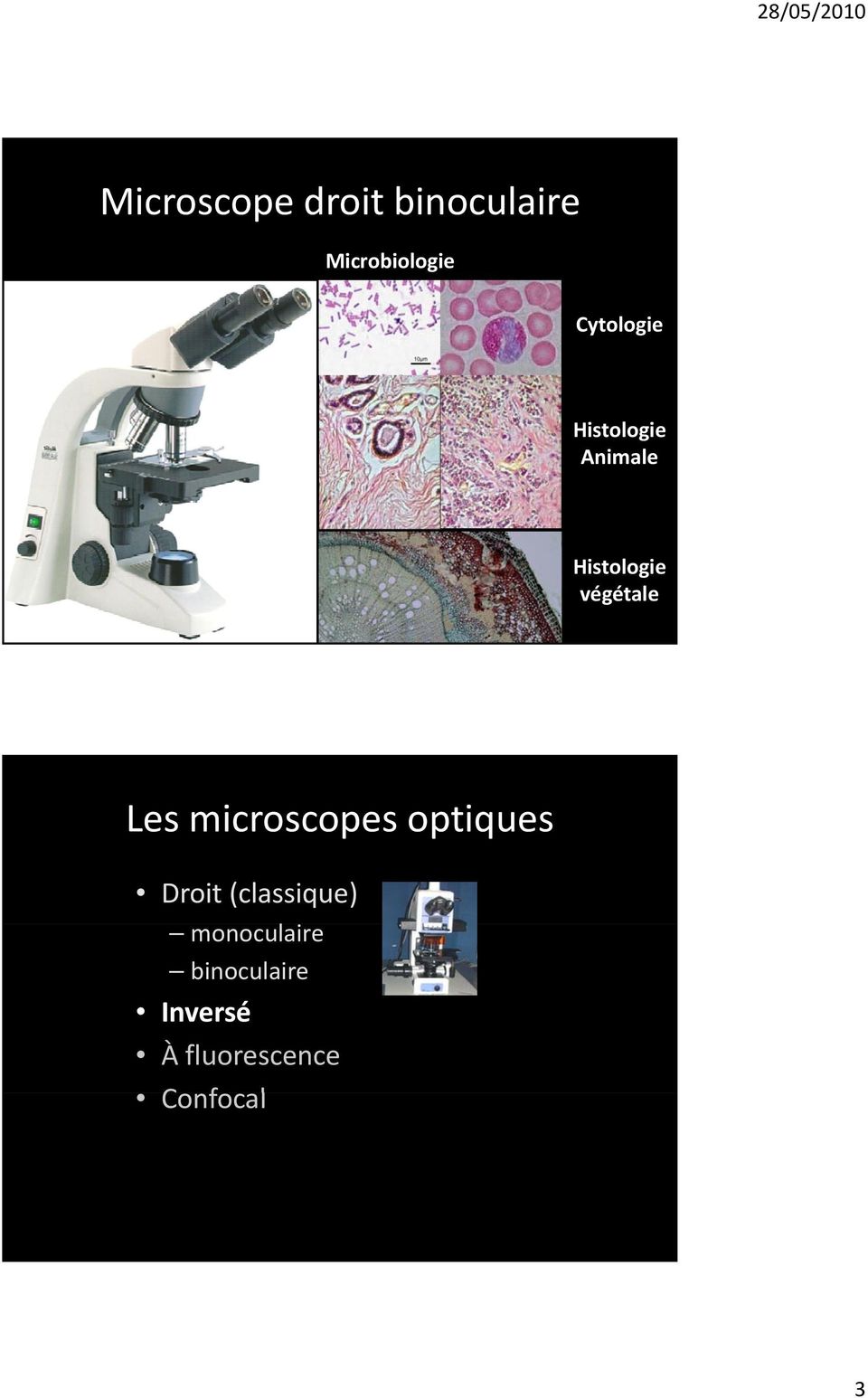 végétale Les microscopes optiques Droit