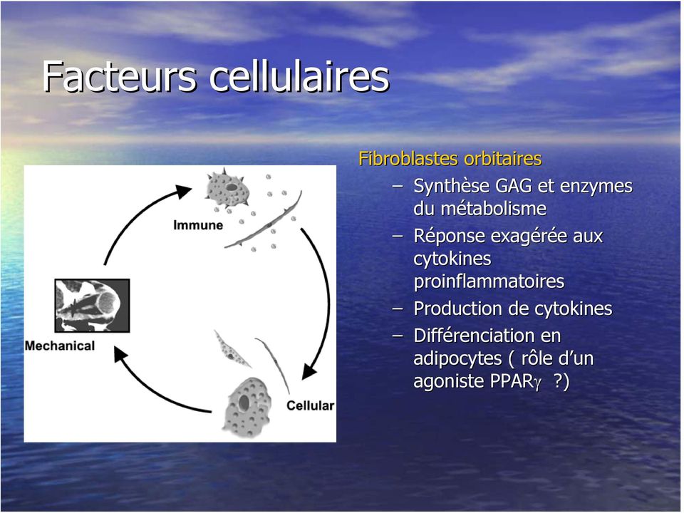 cytokines proinflammatoires Production de cytokines
