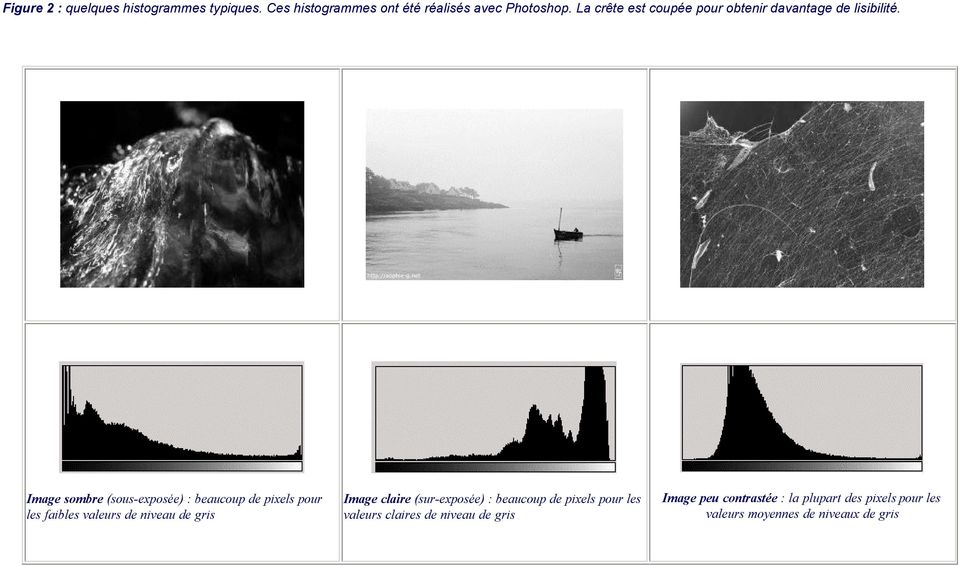 Image sombre (sous-exposée) : beaucoup de pixels pour les faibles valeurs de niveau de gris Image claire
