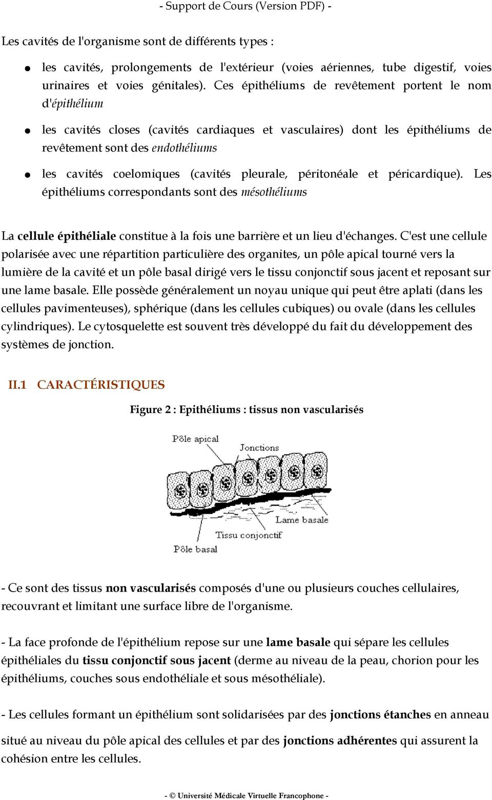 (cavités pleurale, péritonéale et péricardique). Les épithéliums correspondants sont des mésothéliums La cellule épithéliale constitue à la fois une barrière et un lieu d'échanges.