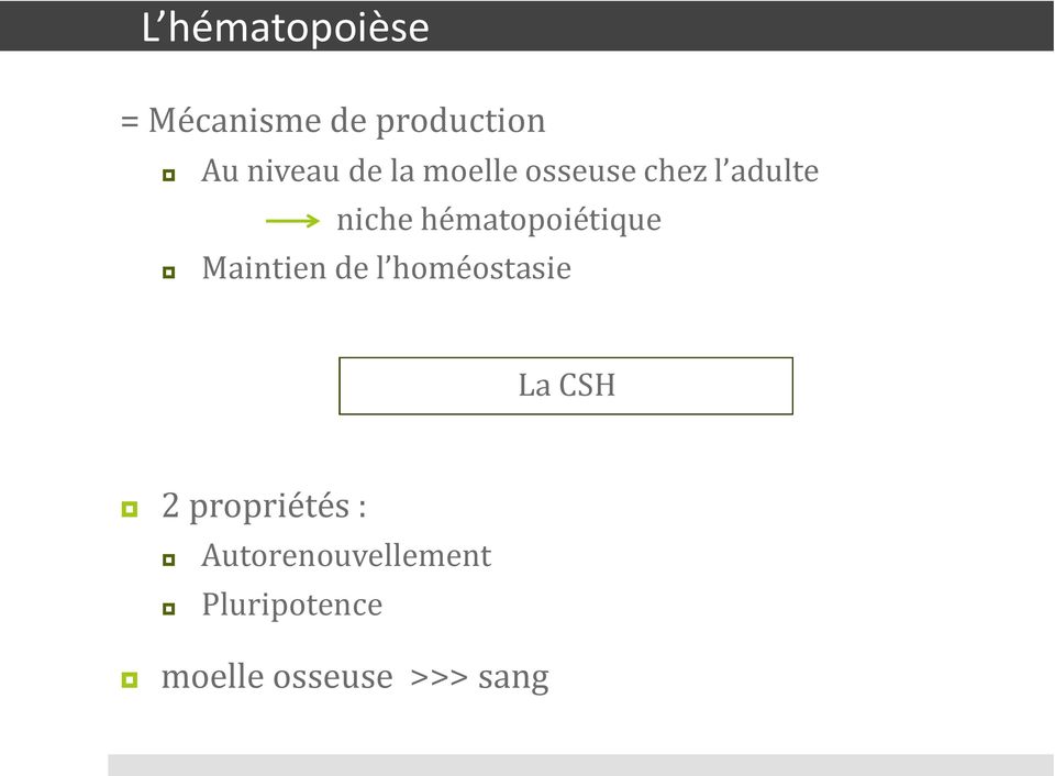 hématopoiétique Maintien de l homéostasie La CSH 2