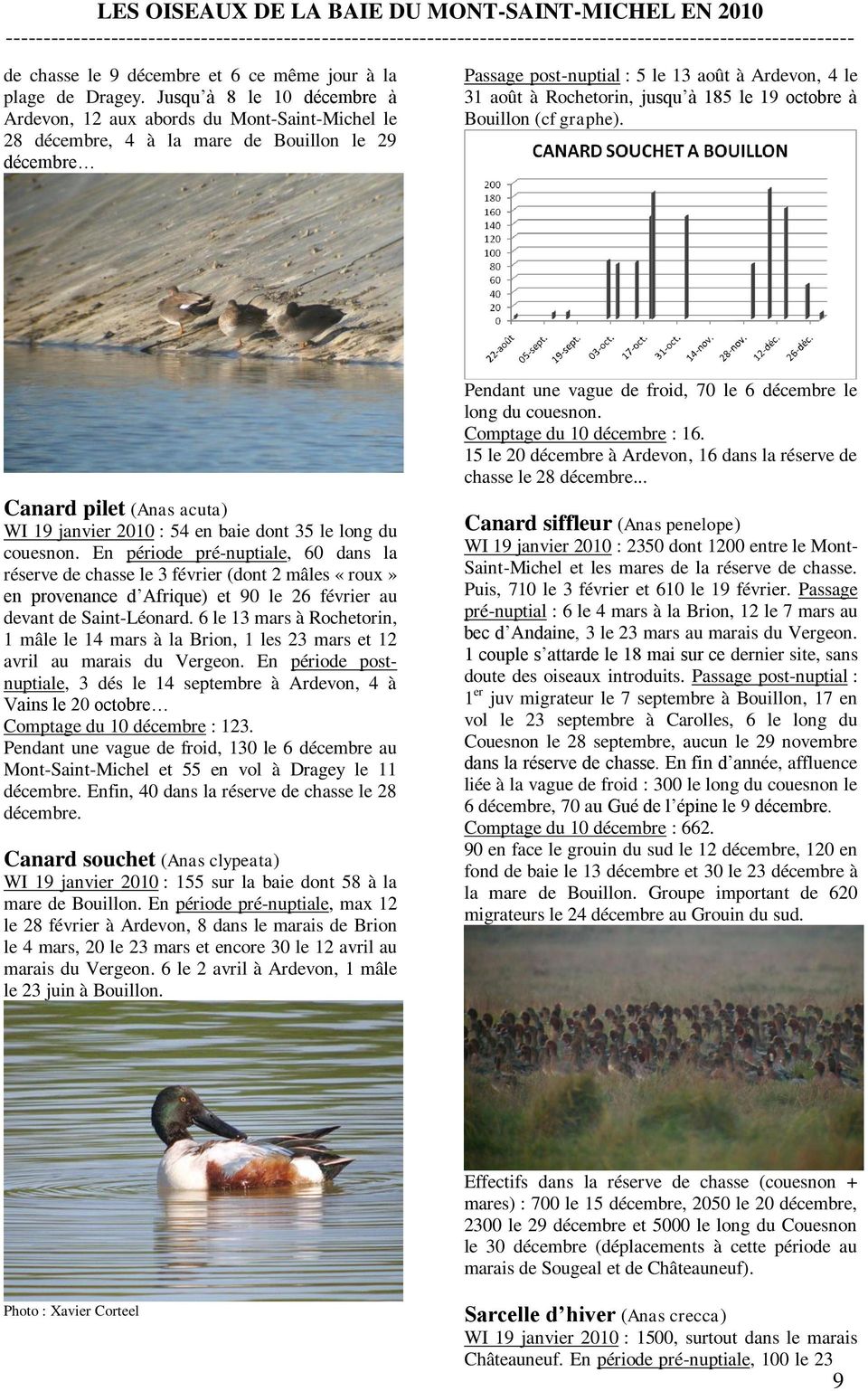 jusqu à 185 le 19 octobre à Bouillon (cf graphe). Canard pilet (Anas acuta) WI 19 janvier 2010 : 54 en baie dont 35 le long du couesnon.