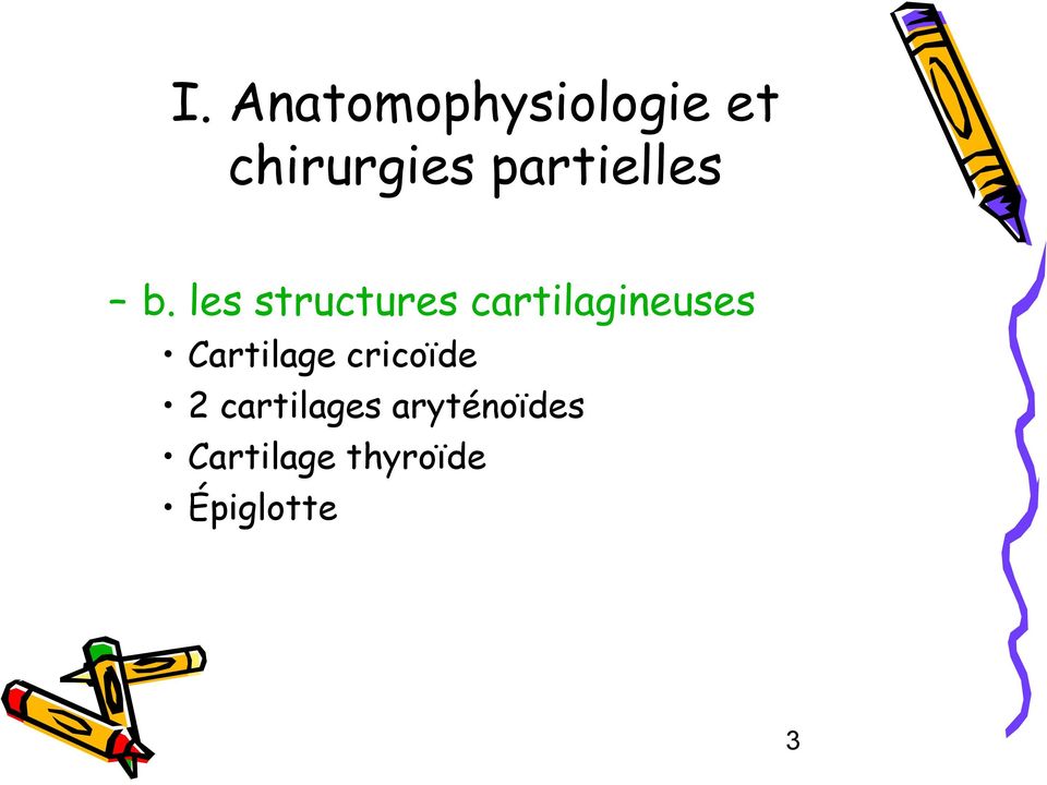 les structures cartilagineuses