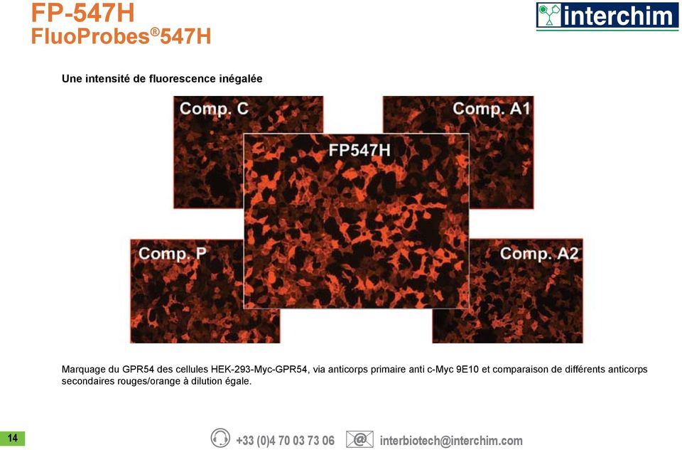 c-myc 9E10 et comparaison de différents anticorps secondaires