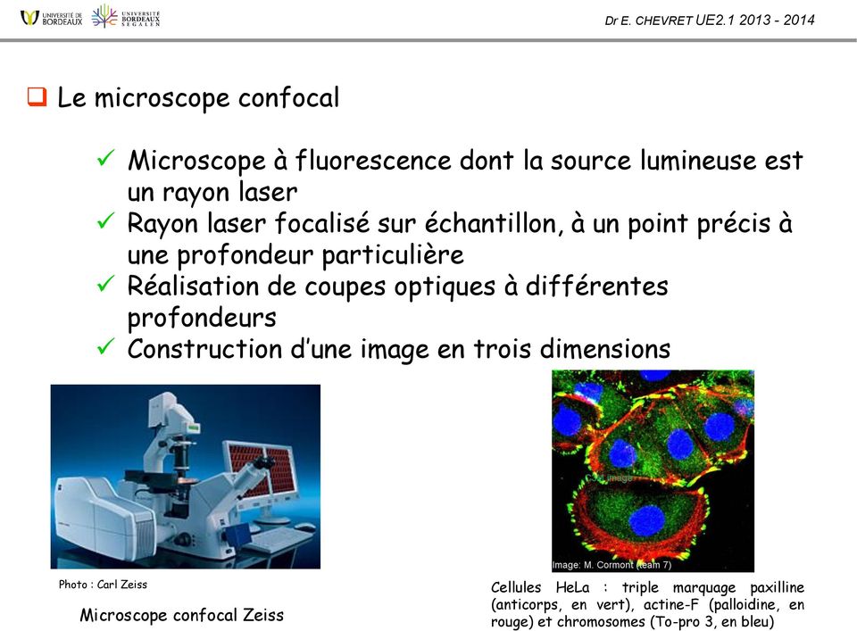 profondeurs Construction d une image en trois dimensions Photo : Carl Zeiss Microscope confocal Zeiss Cellules