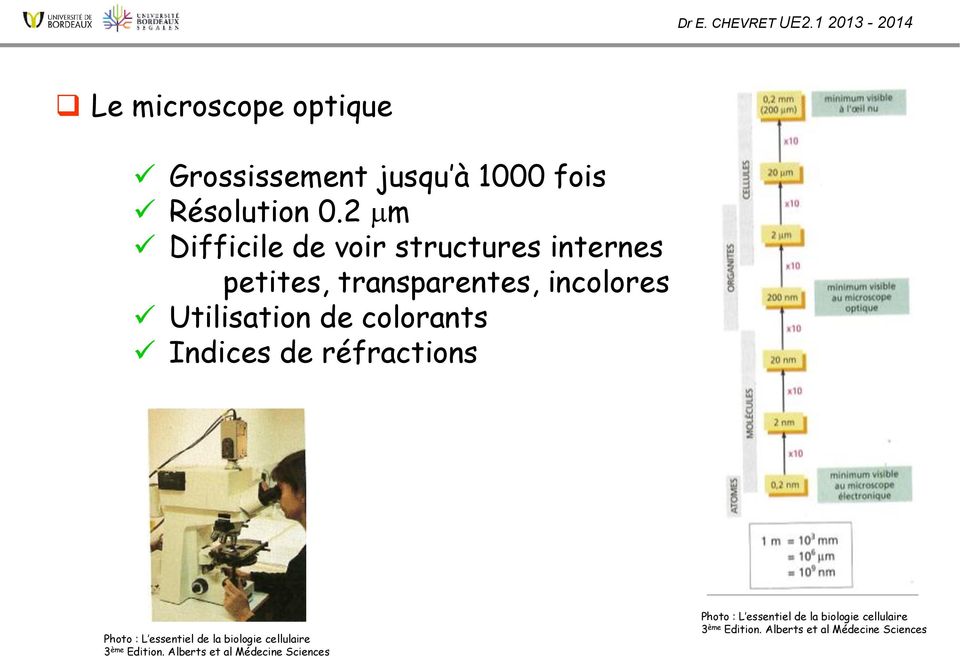 colorants Indices de réfractions Photo : L essentiel de la biologie cellulaire 3 ème Edition.