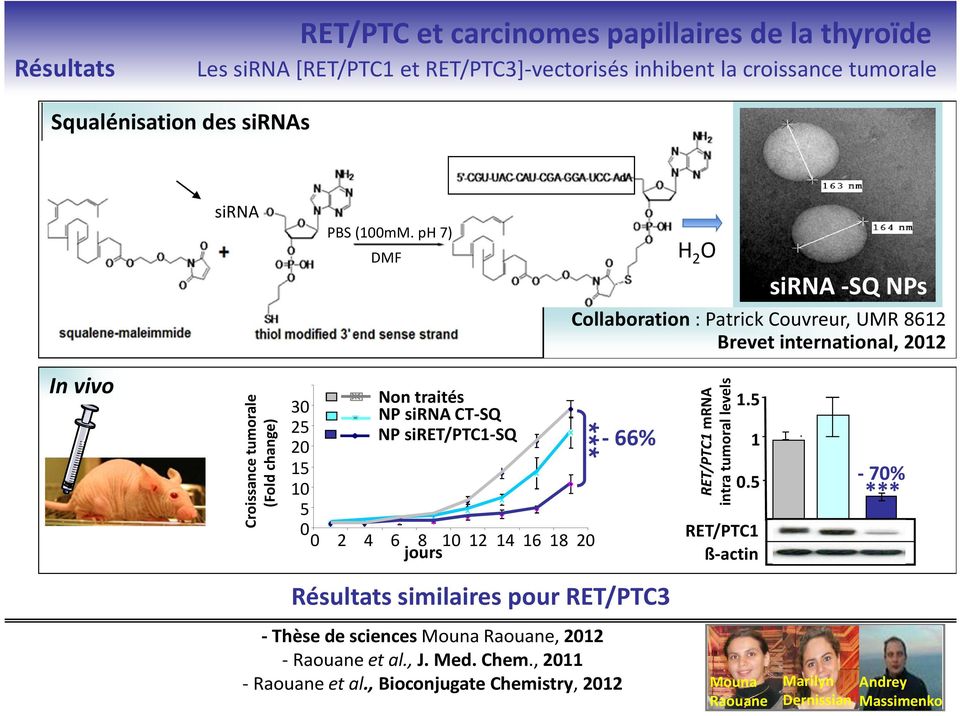 p 7) DMF 2 sira -SQ Ps Collaboration: Patrick Couvreur, UMR 8612 Brevet international, 2012 In vivo Croissance tumorale (Fold change) 30 25 20 15 10 5 0 on traités P sira
