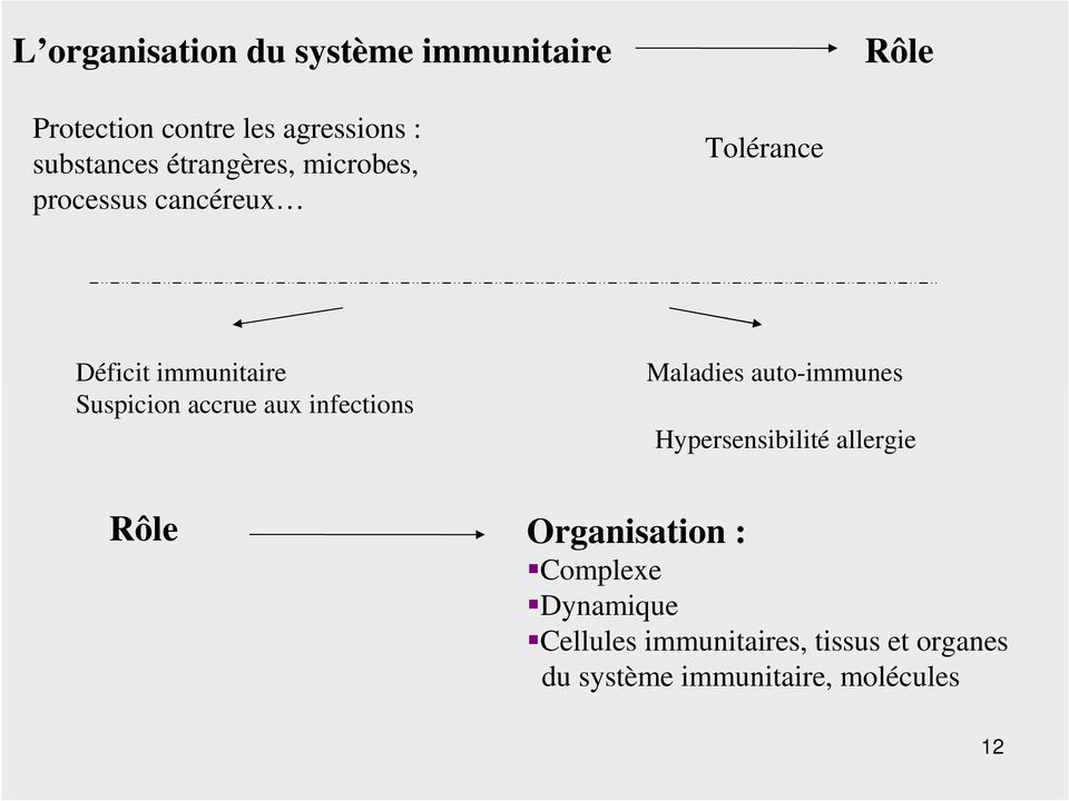 aux infections Maladies auto-immunes Hypersensibilité allergie Rôle Organisation :