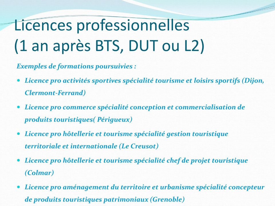 Licence pro hôtellerie et tourisme spécialité gestion touristique territoriale et internationale (Le Creusot) Licence pro hôtellerie et tourisme