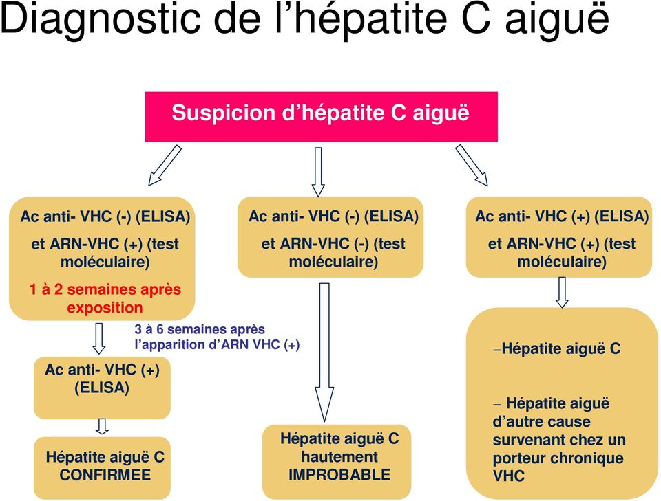 VHC (+) Ac anti- VHC (-) (ELISA) et ARN-VHC (-) (test moléculaire) Hépatite aiguë C hautement IMPROBABLE Ac anti- VHC (+)