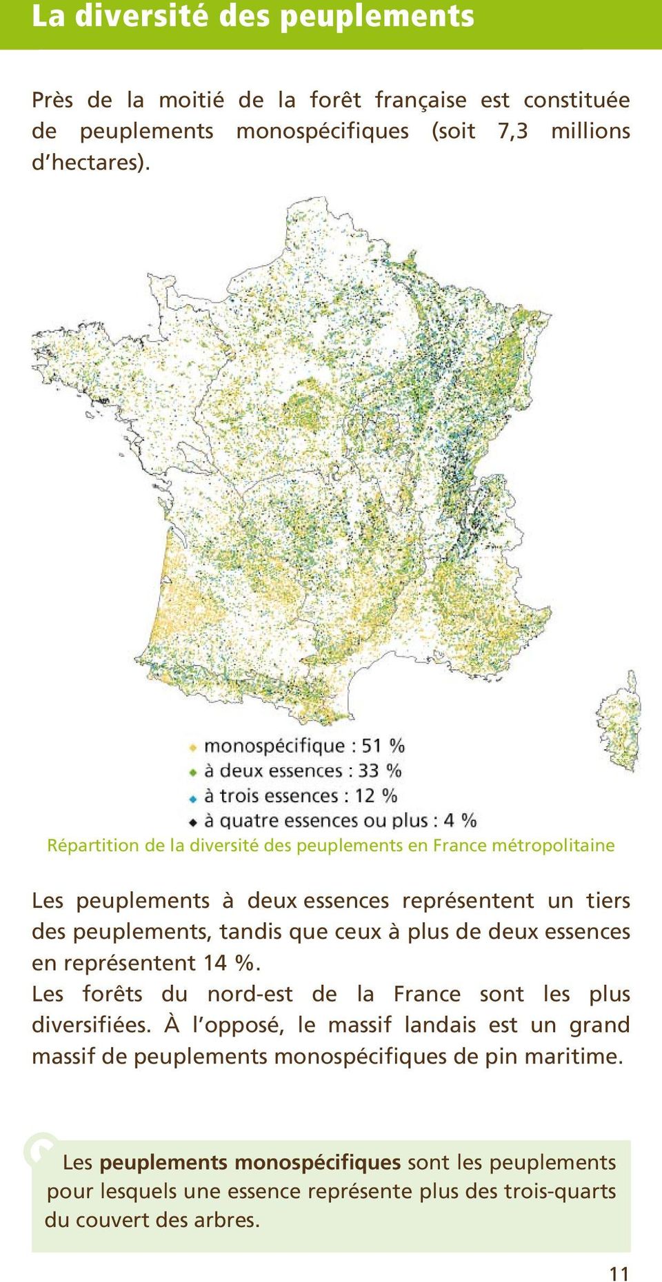plus de deux essences en représentent 14 %. Les forêts du nord-est de la France sont les plus diversifiées.