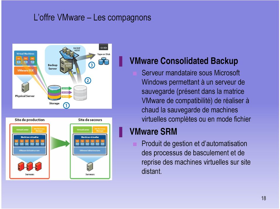 chaud la sauvegarde de machines virtuelles complètes ou en mode fichier VMware SRM Produit de gestion