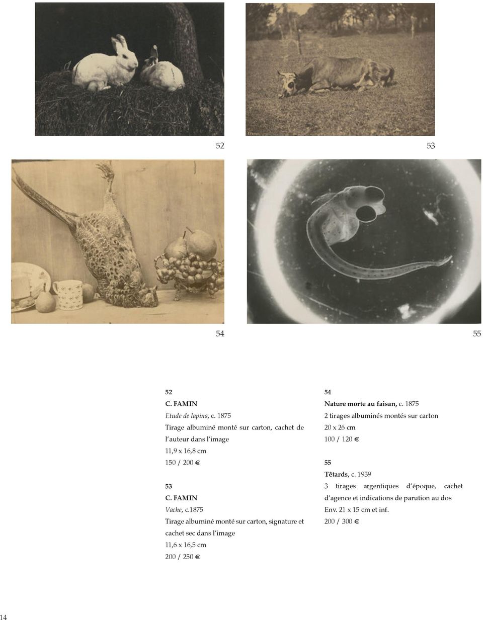 1875 Tirage albuminé monté sur carton, signature et cachet sec dans l image 11,6 x 16,5 cm 200 / 250 54 Nature morte au
