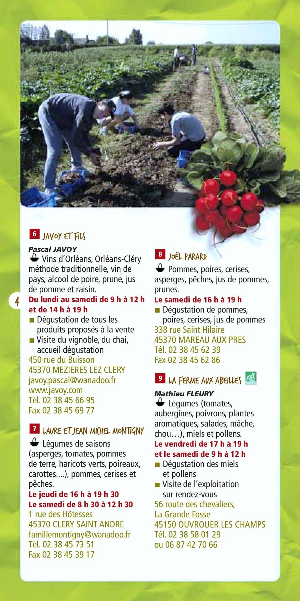 javoy.pascal@wanadoo.fr www.javoy.com Tél. 02 38 45 66 95 Fax 02 38 45 69 77 7 Laure et Jean Michel Montigny Légumes de saisons (asperges, tomates, pommes de terre, haricots verts, poireaux, carottes.