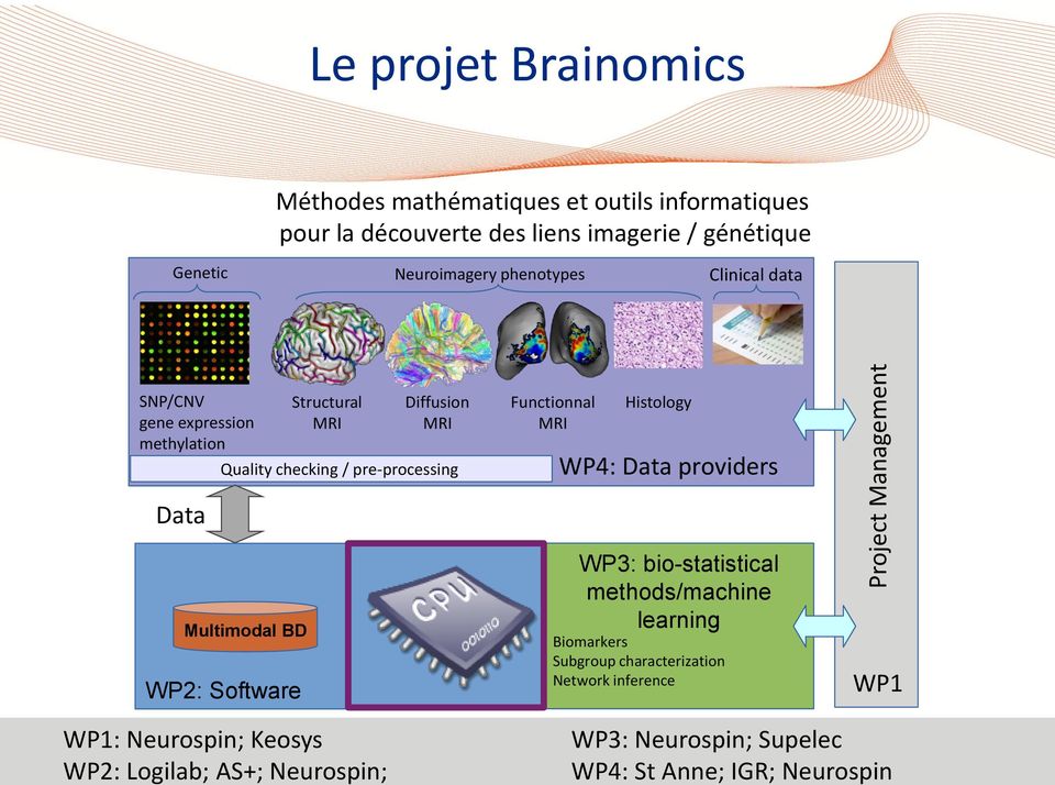 pre-processing Functionnal MRI Histology WP4: Data providers Data Multimodal BD WP2: Software WP3: bio-statistical methods/machine learning