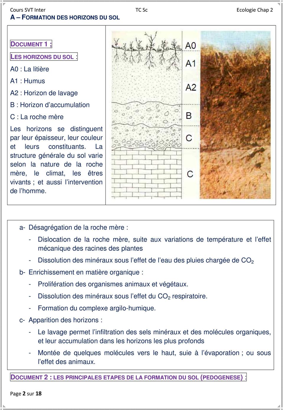 a- Désagrégation de la roche mère : Page 2 sur 18 - Dislocation de la roche mère, suite aux variations de température et l effet mécanique des racines des plantes - Dissolution des minéraux sous l