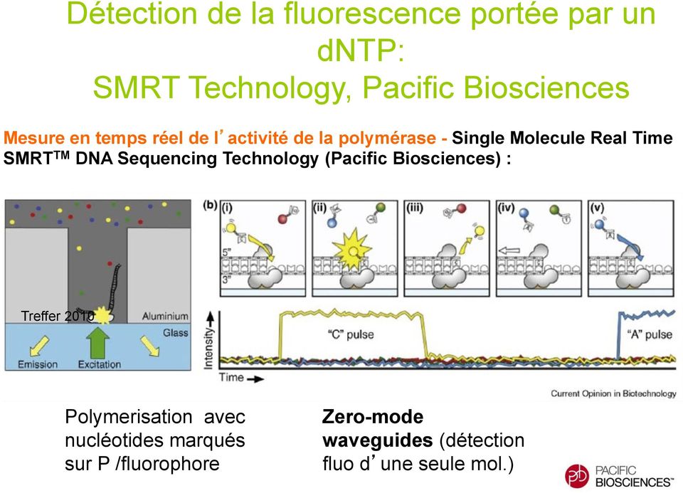 DNA Sequencing Technology (Pacific Biosciences) : Treffer 2010 Polymerisation avec